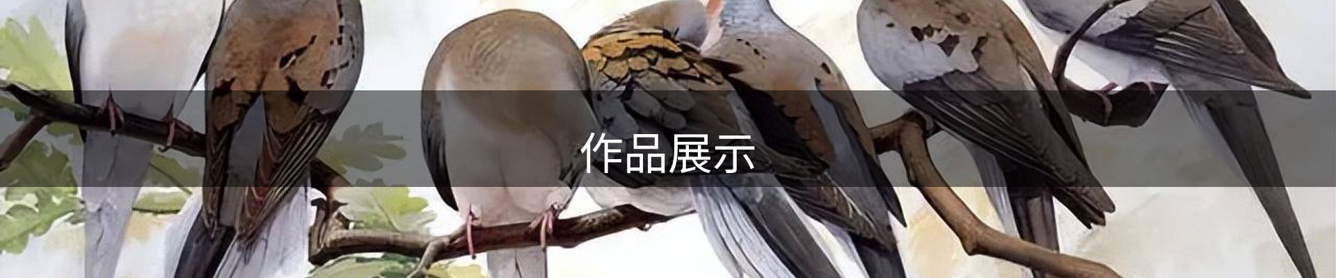 作品展示