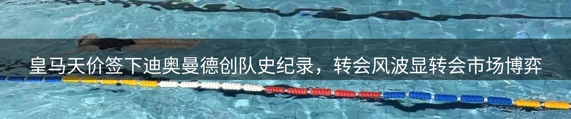 品牌资讯