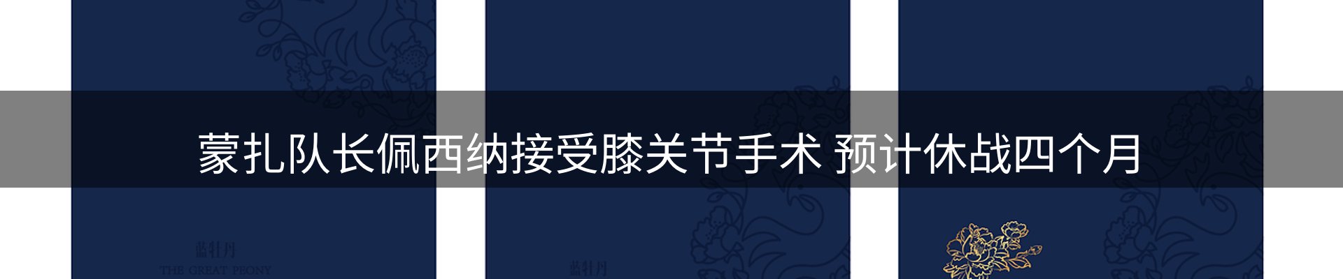 品牌资讯